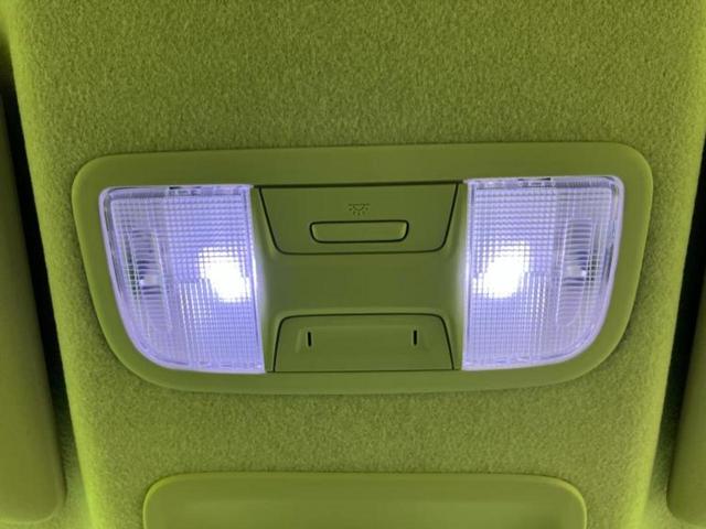 �u���̎Ԃ̎ʐ^�������ƌ������v�u��Ԃ��C�ɂȂ�v�u���̑����͂��Ă���H�v�ǂ�ȏ����ȋ^��ł����C�y�ɂ��₢���킹���������I