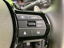 ターボ 保証書/純正 9インチ ナビ/ホンダセンシング/両側電動スライドドア/シートヒーター 前席/車線逸脱防止支援システム/シート ハーフレザー/ヘッドランプ LED/USBジャック ターボ バックカメラ(22枚目)