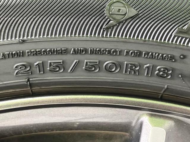 �u���̎Ԃ̎ʐ^�������ƌ������v�u��Ԃ��C�ɂȂ�v�u���̑����͂��Ă���H�v�ǂ�ȏ����ȋ^��ł����C�y�ɂ��₢���킹���������I