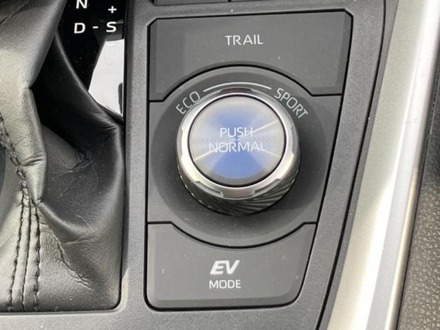 �v�d�b�`�q�r�i�E�B�[�J�[�Y�j�͑S���Q�T�O�X�ܓW�J�I��Ƃ̓s����A�ԗ������������Ȃ��ꍇ���������܂��B���X�O�ɂ��⍇��������