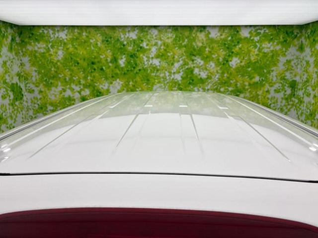 セレナ ４ＷＤハイウェイスターＪパッケージ　保証書／純正　ＳＤナビ／両側電動スライドドア／ドライブレコーダー　社外／ヘッドランプ　ＨＩＤ／ＥＢＤ付ＡＢＳ／クルーズコントロール／バックモニター／地上波デジタルチューナー／エアバッグ　運転席　４ＷＤ（50枚目）