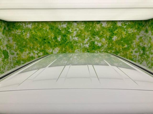 デリカD:5 4WD P 衝突安全装置/両側電動スライドドア/シートヒーター/車線逸脱防止支援システム/電動バックドア/ヘッドランプ LED/EBD付ABS/横滑り防止装置/アイドリングストップ/エアバッグ 運転席 4WD(51枚目)