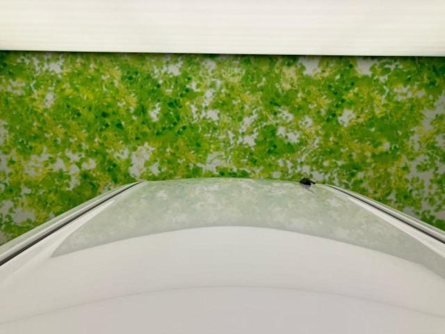 ムーヴキャンバス 4WDストライプスG 保証書/社外 ナビ/スマートアシスト(トヨタ・ダイハツ)/両側電動スライドドア/シートヒーター 前席/車線逸脱防止支援システム/ヘッドランプ LED/USBジャック/ETC/EBD付ABS 4WD(50枚目)