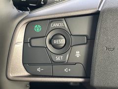 �ǥꥫ�ߥ� �ԡ��ץ�ߥ���ڣ��ףĥ����ܡۡ��Ͻк�̤���Ѽ֡ۡ������ϥץ饹�ѥå��������롼�ե졼�롡�ޥ��ѥ����å� 0509995A30251226W004 4