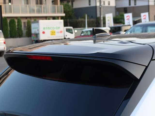 アウトランダーPHEV Pエグゼクティブパッケージ ブラウン内装 本革シート(13枚目)