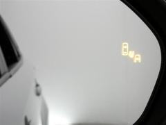 ټξ졼ǸΤɥߥ顼Ǥϳǧˤ¦ꥢ¸ߤξ˲äܶᤷƤξ⸡ΤޤξΤȥɥߥ顼ܤ줿̣ţĥ󥸥ޤ 7