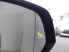 ֥饤ɥݥåȥ˥ټξΡɥߥ顼Ǥϳǧˤ塢¦ꥢ¸ߤξܶᤷƤξ⸡Τɥߥ顼ܤ줿̣ţĥ󥸥ޤ 5