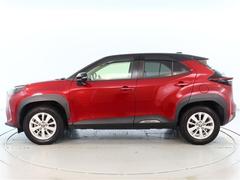 ꥹ ǡǯ̵ݾڡڥƧߴְ㤤ͲﳲڸæǽʥӡХå顡ѥΥߥå˥ţԣá롼ȥ롡ޡȥȥ󡡥֥饤ɥ˥