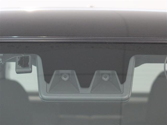 タフト G(13枚目)