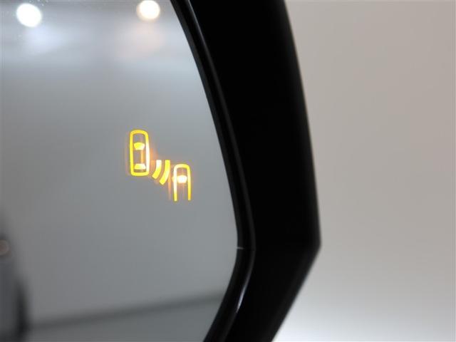 ＲＡＶ４ Ｘ（19枚目）