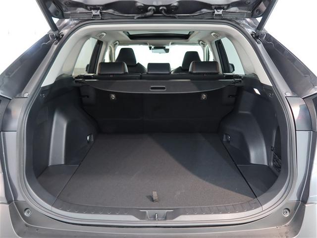 ＲＡＶ４ アドベンチャー（13枚目）