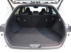 �����Ȥ����饲�������ڡ����������Ƥ��ޤ����礭�ʤ�Τ�Ĺ���Τ����ʪ�⤷�ä�����Ѥ߹���ޤ��� 5