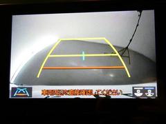 ������ե����� ������ǥ󥢥����������꡼�ʥӡ����ʥ�˥������Хå�����顡�����ﳲ�ڸ������ƥ� 0510041A20251221T002 6