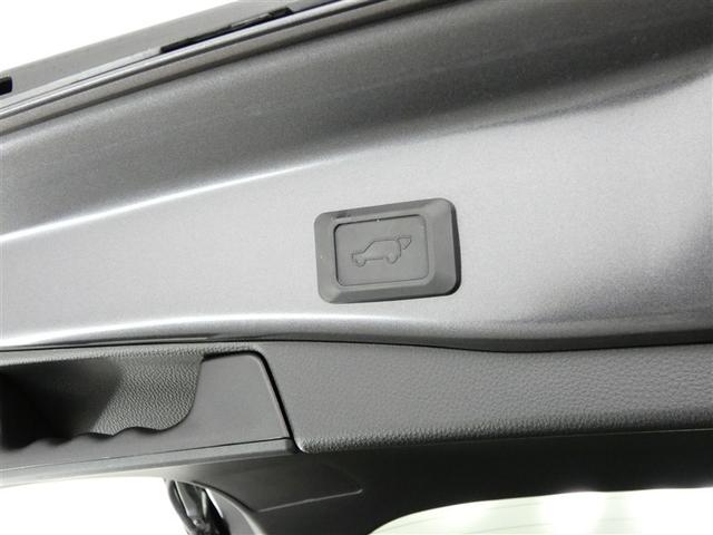 ＲＡＶ４ アドベンチャー　４ＷＤ　フルセグ　メモリーナビ　バックカメラ　ドラレコ　衝突被害軽減システム　ＥＴＣ　ＬＥＤヘッドランプ　ワンオーナー　ＤＶＤ再生　記録簿　安全装備　オートクルーズコントロール　電動シート　ナビ＆ＴＶ（20枚目）