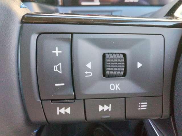 オーラ １．２　ＡＵＴＥＣＨ　スポーツ　スペック　ナビ＋ＡＶＭ＋ＢＯＳＥ　ＥＴＣ　Ｐ－ｐｉｌｏｔ　ＬＥＤ　Ａ／Ｗ　試乗車　バックカメラ　レーンキープアシスト（15枚目）