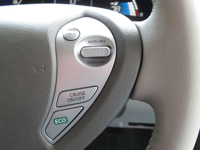 X サンクスエディション(30kwh) 30kWh X サンクス エディション 11セグ・コネクトナビ・ETC・ドラレコ(8枚目)