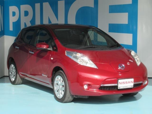 X (24kwh) 12セグメント(15枚目)