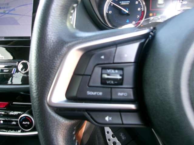 フォレスター 2.0 アドバンス 4WD ワンオナ メモリ-ナビ クルコン キーレス ETC車載器 スマートK アルミ エアB サイドエアB AWD PS ドライブレコ-ダ- ナビTV パワーウィンドー LEDランプ フルオートエアコン(13枚目)