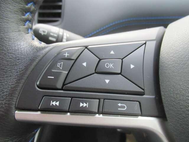 セレナ ２．０　ＡＵＴＥＣＨ　スポーツスペック　ＬＥＤランプ　追従クルーズ　インテリキー　両側電動ドア　ワンオーナー　バックカメラ　Ｉ－ＳＴＯＰ　ＬＫＡ　ＥＴＣ　Ｄレコ　ナビＴＶ　メモリーナビ　アルミ　全周囲　衝突軽減システム（13枚目）