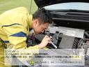 Ｓセーフティプラス　横滑り防止　地デジ　イモビ　ＥＴＣ車載器　１オーナー　クルコン　ＡＡＣ　バックカメ　ドライブレコーダー　ＬＥＤライト　スマキー　キーフリー　記録簿　アルミホイール　エアバッグ　ナビ＆ＴＶ　ＡＢＳ（48枚目）