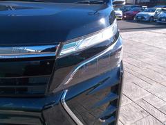 �̣ţĥإåɥ饤�ȤǤ����ǥ����������褯�ȤƤ����뤤�Τǡ���֤����Ԥ䰭ŷ���Ǥ�¿��Ǥ���������Ĺ��̿�� 4