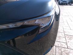 �̣ţĥإåɥ饤�ȤǤ����ǥ����������褯�ȤƤ����뤤�Τǡ���֤����Ԥ䰭ŷ���Ǥ�¿��Ǥ���������Ĺ��̿�� 4