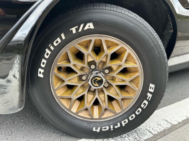 ポンテアックファイヤーバード ベースグレード　正規ディーラー車・事故無し・イーグルマスク・純正１５インチＡＷ・外装同色オールペン済み・ブラック内装・社外マフラー・触媒保管有り・社外オーディオ・ＥＴＣ・各機関程度良（12枚目）