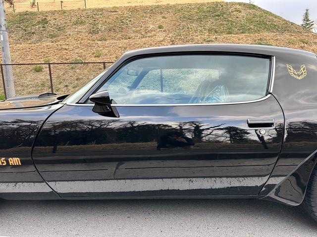 ポンテアックファイヤーバード ベースグレード　正規ディーラー車・事故無し・イーグルマスク・純正１５インチＡＷ・外装同色オールペン済み・ブラック内装・社外マフラー・触媒保管有り・社外オーディオ・ＥＴＣ・各機関程度良（23枚目）
