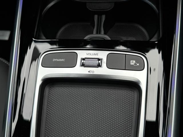 ＥＱＢ ＥＱＢ２５０＋　ＡＭＧラインパッケージ　デモカー　ＡＭＧライン　ＡＭＧレザーエクスクルージブパッケージ　コンフォートパッケージ　パノラマスライディングルーフ　本革　レーダセーフティパッケージ　シートヒーター　自動開閉トランクリッド（33枚目）