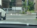 サムネイル16