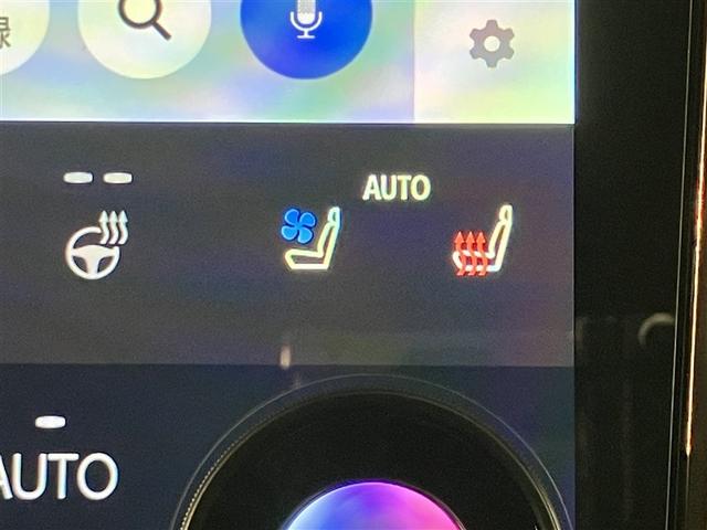 アルファードハイブリッド Ｚ　両自動ドア　１オーナー車　フルセグテレビ　スマートキー　ドライブレコーダー　クルーズコントロール　ＬＥＤヘッドランプ　ＥＴＣ　ムーンルーフ　３列シート　エアコン　メモリーナビ　Ｒカメラ　電動シート（20枚目）