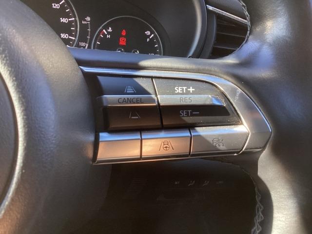 CX-30 2.0 20S ブラックトーンエディション 8.8インチセンターディスプレイ 360°セーフティパッケージ 車線逸脱警報システム カープレイ付(22枚目)