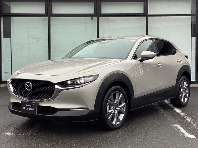 ＣＸ－３０ ＸＤ　プロアクティブ　ディーゼルターボ　バックカメラ　前後ドラレコ　ＭＲＣＣ　ＣａｒＰｌａｙ　（35枚目）