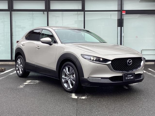 ＣＸ－３０ ＸＤ　プロアクティブ　ディーゼルターボ　バックカメラ　前後ドラレコ　ＭＲＣＣ　ＣａｒＰｌａｙ　（40枚目）