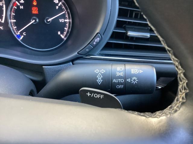 CX-30 1.8 XD ブラックトーンエディション ディーゼルターボ ETC 360°カメラ 電動リアゲート オートライト 全周囲 Etc ミュージックプレイヤー接続可 ワンオーナー車 地デジTV 衝突軽減B LED ACC i-stop ターボ キーフリー ドラレコ(25枚目)