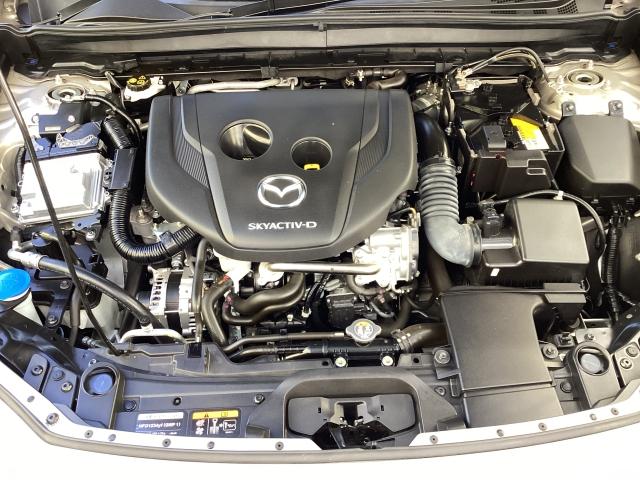 CX-30 1.8 XD ブラックトーンエディション ディーゼルターボ ETC 360°カメラ 電動リアゲート オートライト 全周囲 Etc ミュージックプレイヤー接続可 ワンオーナー車 地デジTV 衝突軽減B LED ACC i-stop ターボ キーフリー ドラレコ(31枚目)