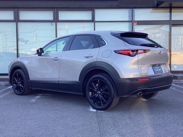 CX-30 1.8 XD ブラックトーンエディション ディーゼルターボ ETC 360°カメラ 電動リアゲート オートライト 全周囲 Etc ミュージックプレイヤー接続可 ワンオーナー車 地デジTV 衝突軽減B LED ACC i-stop ターボ キーフリー ドラレコ(37枚目)