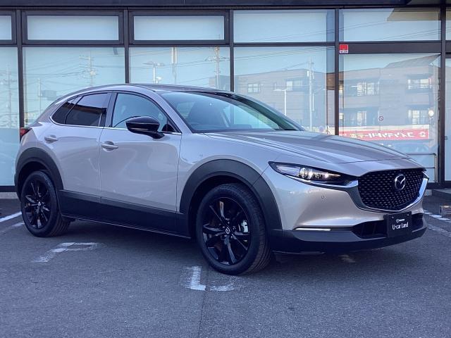 CX-30 1.8 XD ブラックトーンエディション ディーゼルターボ ETC 360°カメラ 電動リアゲート オートライト 全周囲 Etc ミュージックプレイヤー接続可 ワンオーナー車 地デジTV 衝突軽減B LED ACC i-stop ターボ キーフリー ドラレコ(40枚目)