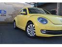 VOLKSWAGEN THE BEETLE