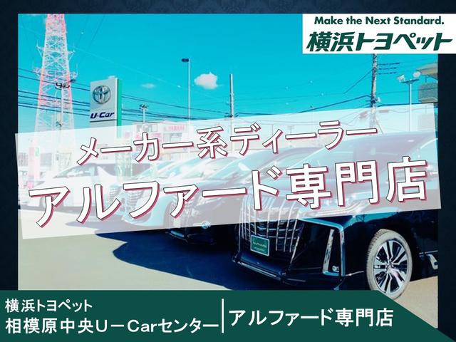 X スマートキー メモリーナビ バックカメラ ETC(22枚目)