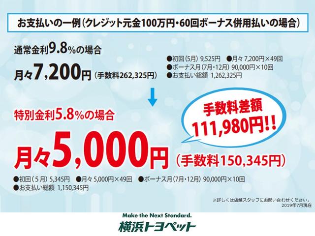 X スマートキー メモリーナビ バックカメラ ETC(43枚目)