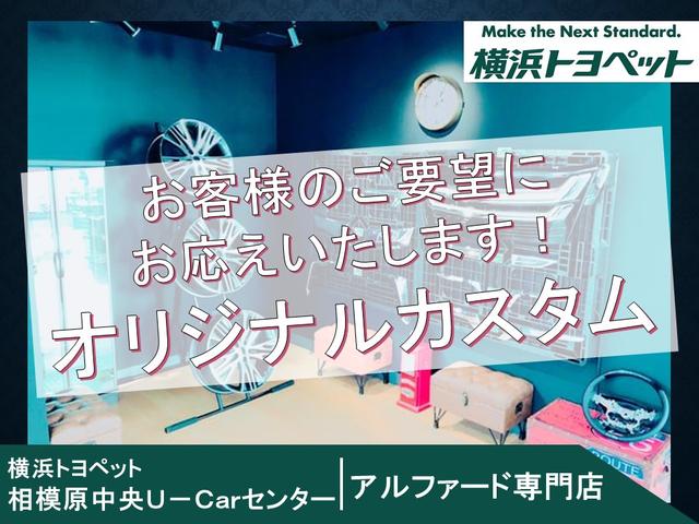 SR Cパッケージ スマートキー メモリーナビ バックカメラ(23枚目)