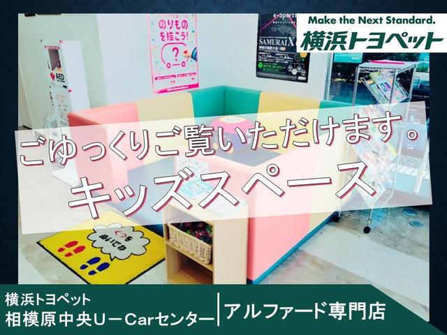 SR Cパッケージ スマートキー メモリーナビ バックカメラ(25枚目)