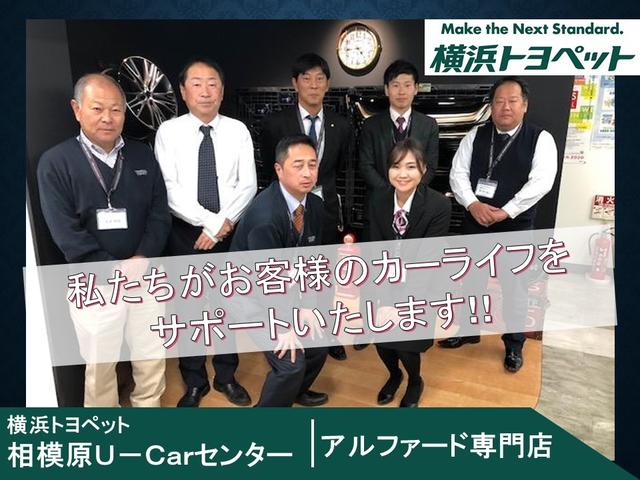 SR Cパッケージ スマートキー メモリーナビ バックカメラ(27枚目)