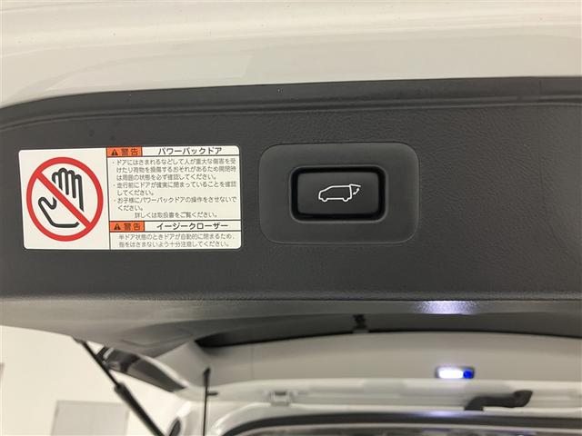 アルファード 2.5S Cパッケージ 両電動ドア Bモニタ 地デジ 定期点検記録簿 DVD再生可能 パノラマルーフ リアオートエアコン ナビテレビ 横滑り防止 クルコン AC100V電源 セキュリティ ETC車載器 LEDヘッドライト(33枚目)