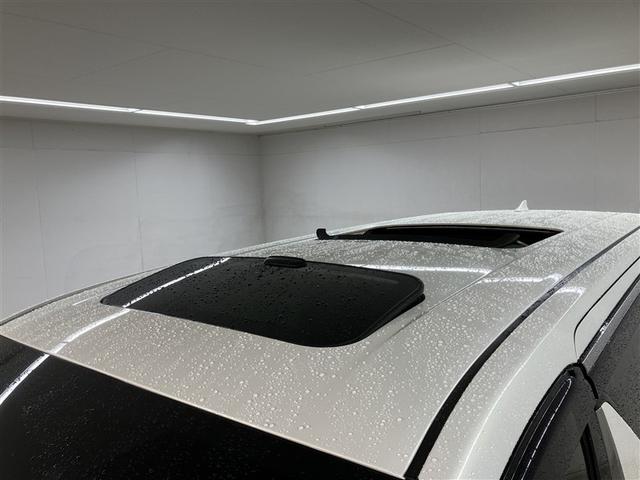 アルファードハイブリッド エグゼクティブラウンジ　サンル－フ　インテリジェントクリアランスソナー　地デジＴＶ　両側電動スライドドア　ドライブレコーダー　バックモニタ－　ＬＥＤライト　横滑り防止機能　４ｗｄ　３列シート　オートクルーズコントロール（26枚目）