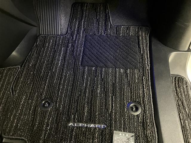 アルファード 2.5S タイプゴールドII ドライブレコーダ LEDランプ Bカメラ スマートキ AC100V フルセグTV 盗難防止システム ワンオーナー ダブルエアコン 助手席エアバッグ ETC DVD 記録簿 オートクルーズ 3列シート(34枚目)