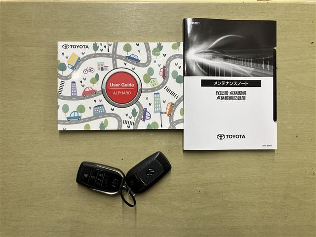 アルファードハイブリッド エグゼクティブラウンジ クルコン LEDヘッドライト ガラスルーフ スマートキー 両側電動スライドドア ドライブレコーダー DVDプレーヤー フルセグ ETC ミュージックプレイヤー接続可 ナビTV 3列シート バックカメラ(29枚目)