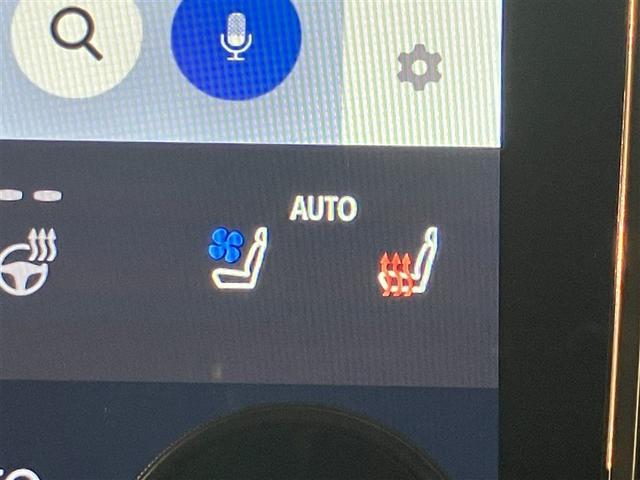 ヴェルファイア Ｚ　プレミア（21枚目）