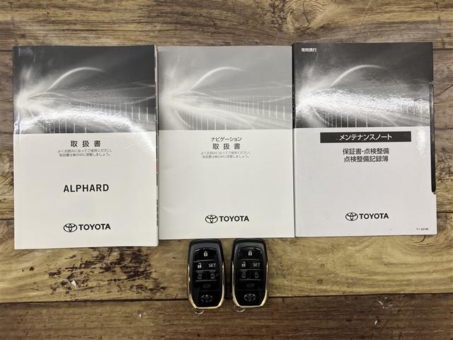 アルファード 2.5S タイプゴールドII ドライブレコーダ LEDランプ Bカメラ スマートキ AC100V フルセグTV 盗難防止システム ワンオーナー ダブルエアコン 助手席エアバッグ ETC DVD 記録簿 オートクルーズ 3列シート(20枚目)